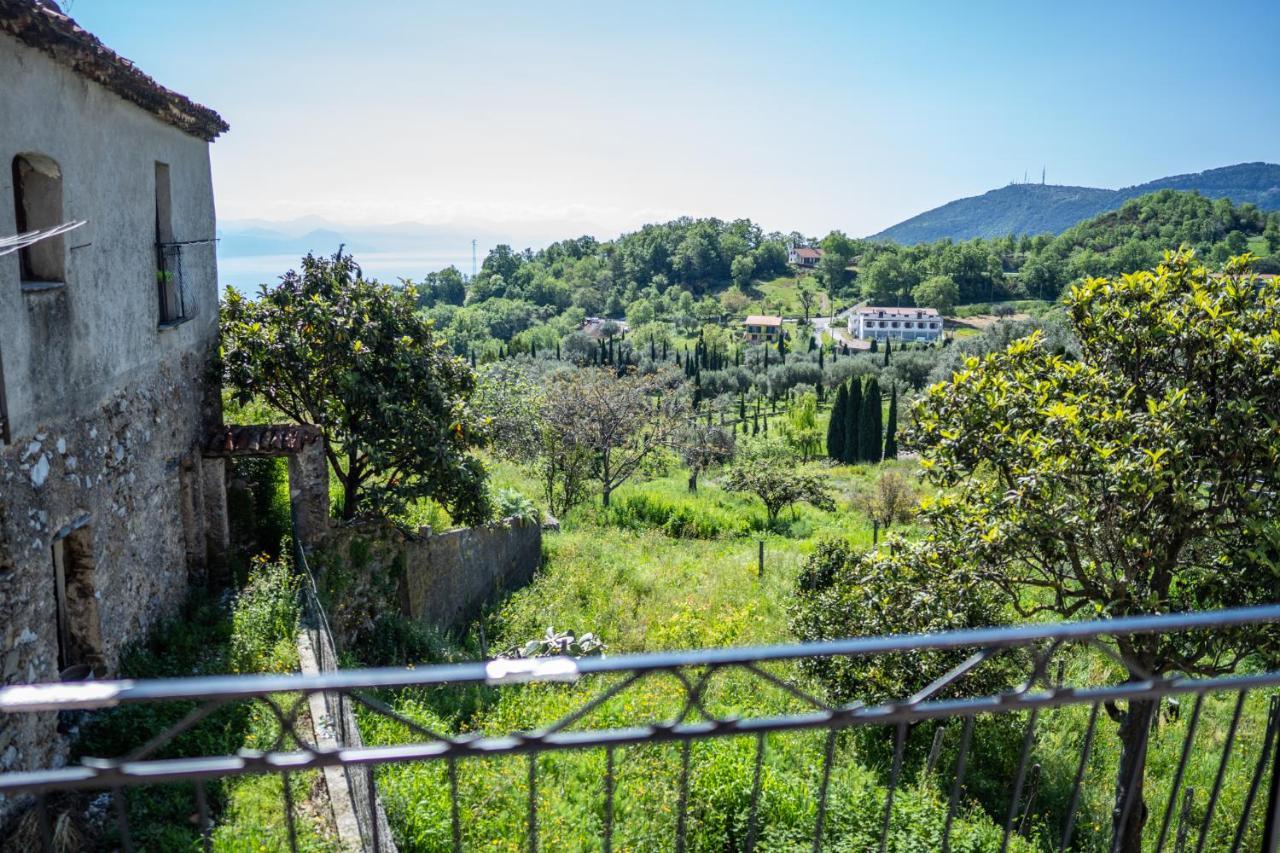 Il Vicoletto * Bosco (Campania)