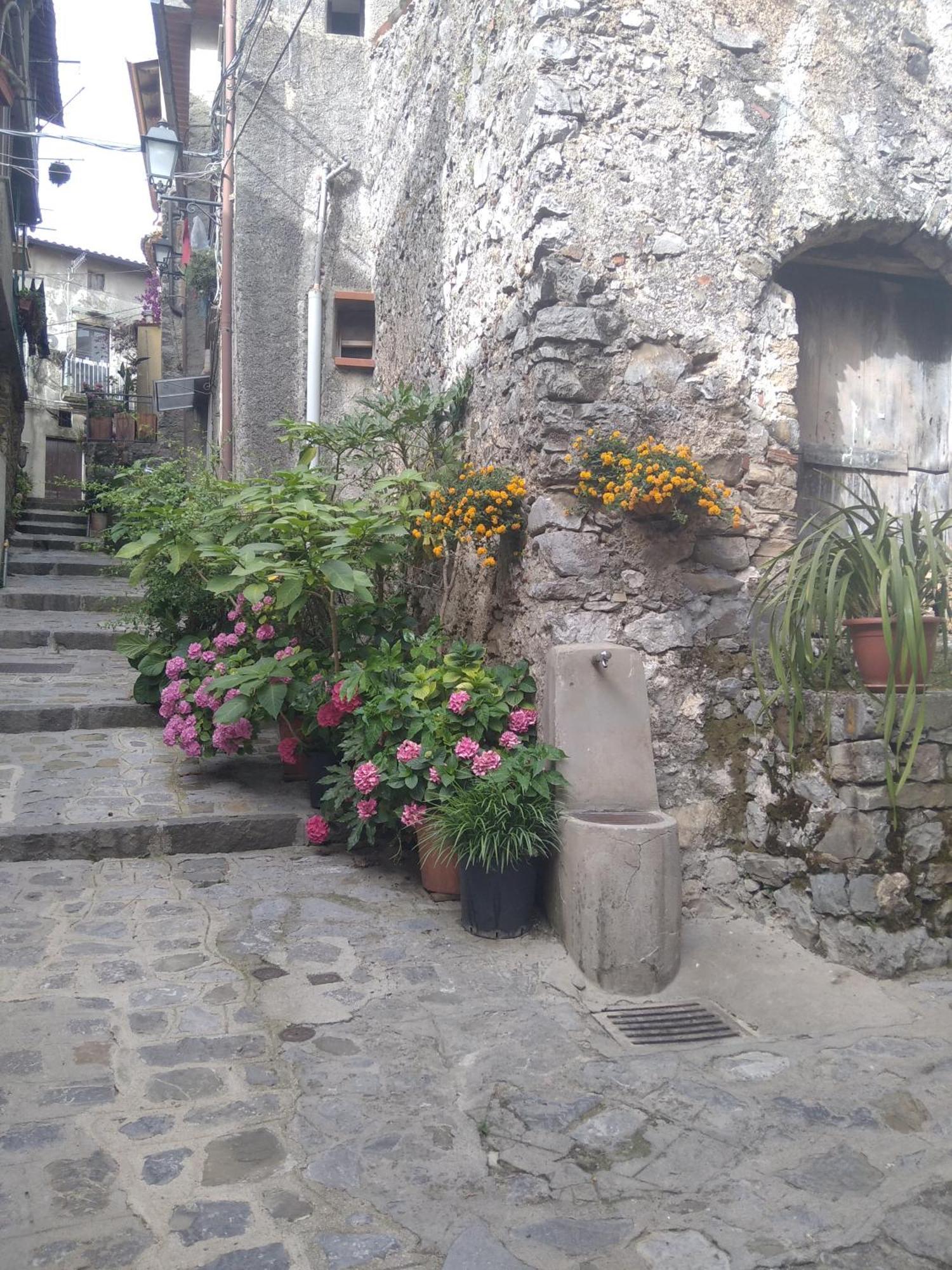 Il Vicoletto Apartment